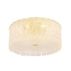 Потолочный светильник Crystal Lux Oviedo PL6