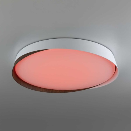 Потолочный светодиодный светильник Citilux Bonny CL754450G