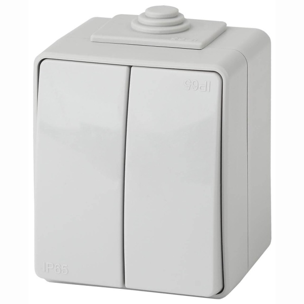 Переключатель двухклавишный ЭРА Эксперт 10AX 250V IP65 11-1606-03 Б0035979 Переключатель двухклавишный ЭРА Эксперт 10AX 250V IP65 11-1606-03 Б0035979