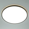 Потолочный светильник Citilux NORMA CL749501