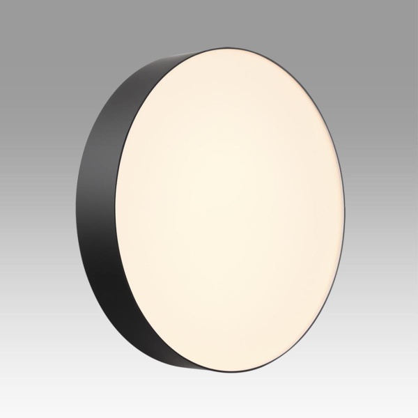 Настенно-потолочный светильник Sonex BASICA 7780/DLN