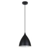 Подвесной светильник Arte Lamp Lark A7075SP-1BK