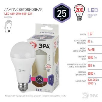 Лампа светодиодная ЭРА E27 25W 6000K матовая LED A65-25W-860-E27