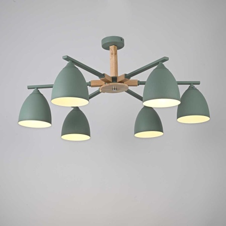 Потолочная люстра Imperium Loft Noa 6 Mint 183467-26