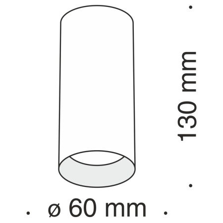 Потолочный светильник Maytoni Technical Focus C010CL-01GF