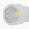 Потолочный светодиодный светильник Citilux Дубль CL556100