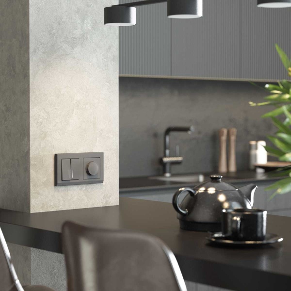 Выключатель Werkel двухклавишный с подсветкой графит W1120164 4690389194368