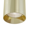 Потолочный светильник Maytoni Technical Focus C010CL-01G