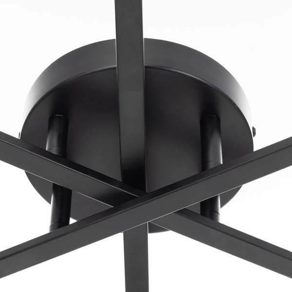 Потолочная люстра Citilux Glob CL209261