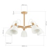 Потолочная люстра Evoluce Balcamo SLE103802-05