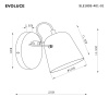 Настенный светильник Evoluce SLE1805-401-01