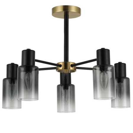 Потолочная люстра Reluce 74677-0.3-05