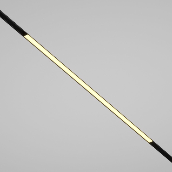 Трековый светодиодный светильник Maytoni Technical Basis TR030-2-30W2.7K-B