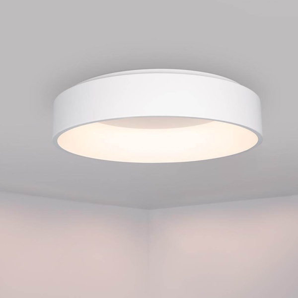 Потолочный светодиодный светильник Arlight SP-Tor-Ring-Surface-R460-33W Day4000 022134(1)