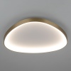 Потолочный светодиодный светильник Citilux Genka Smart CL756A162