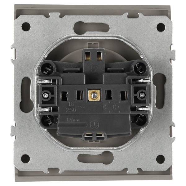 Розетка ЭРА Arktik 16-2102-07 с заземлением 2P+E Schuko со шторками 16А-250В титан Б0070430