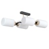 Потолочный светильник ILLUMICO IL0809-4ASQ-25 BK AB NAPLES