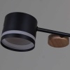Люстра Reluce 68730-0.3-08 GX53 BK+WOOD