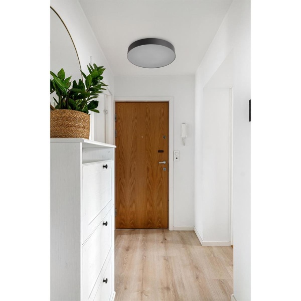 Настенно-потолочный светильник Sonex BASICA 7780/DLN