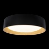 Потолочный светодиодный светильник Loft IT Coin 10202 Black