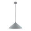 Подвесной светильник Maytoni Basic MOD167PL-01GR