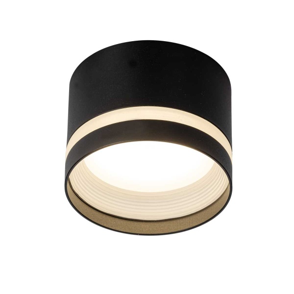 Потолочный светильник Citilux Hardy CL002C11 Потолочный светильник Citilux Hardy CL002C11