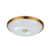 Потолочный светильник Odeon Light Walli Pelow 4956/5