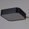 Светильник потолочный Reluce 03360-0.3-05 BK+FGD