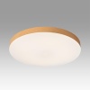 Светильник Sonex Mitra Led 7761/24L