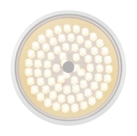 Потолочный светодиодный светильник Freya Cells FR10012CL-L24W