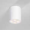 Потолочный светильник Elektrostandard 25111/LED a067482