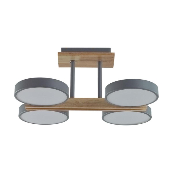 Потолочная светодиодная люстра Lumion Plato Ledio 8031/72CL