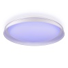 Потолочный светодиодный светильник Citilux Mega CL752450G