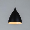 Подвесной светильник Arte Lamp Lark A7075SP-1BK