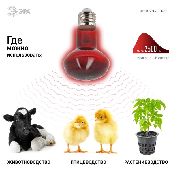 Лампа инфракрасная ЭРА E27 60 Вт для обогрева животных и освещения ИКЗК 230-60 Вт R63 Е27 Б0057281
