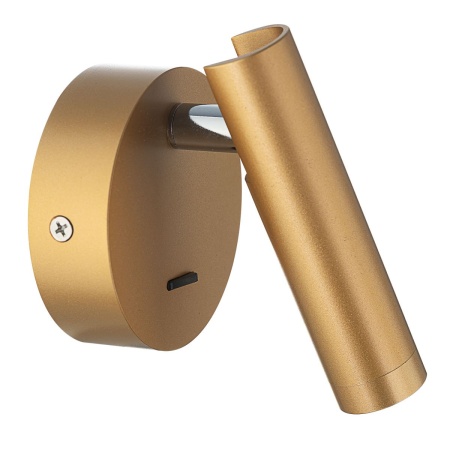 Спот Citilux Декарт CL704102