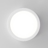 Накладной светодиодный светильник Citilux Галс CL5516N