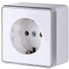 Розетка с заземлением Werkel Gallant белый W5071001 4690389164460