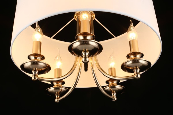 Подвесная люстра Aployt Berze APL.721.06.05