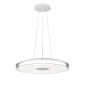Подвесной светильник Vele Luce Flash VL7215P01