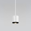 Подвесной светодиодный светильник Elektrostandard Lead 50243 LED белый a062415
