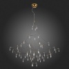 Подвесная люстра ST Luce Gravetta SL797.213.114