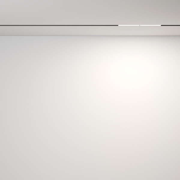 Трековый светодиодный светильник Maytoni Technical Exility Parete TR106-2-12W4K-B
