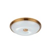 Потолочный светильник Odeon Light Walli Pelow 4956/4