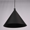 Подвесной светильник Imperium Loft Roundew D29 Black 302464-26