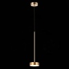 Подвесной светодиодный светильник ST Luce Pances SL6000.303.01