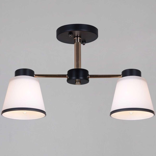 Потолочная люстра Reluce 30560-0.3-02 BK+FG