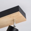 Потолочный светильник F-Promo Olika 4437-2C