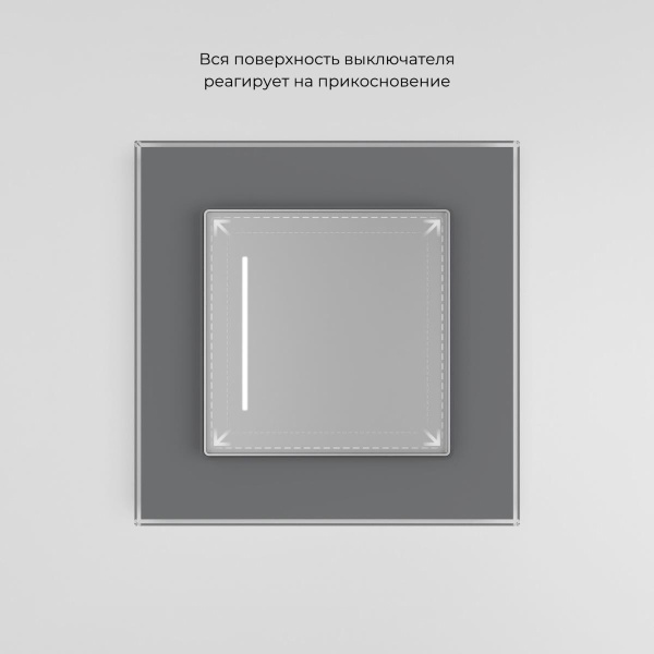 Выключатель одноклавишный Werkel сенсорный W4512006 4690389197987