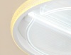 Потолочный светодиодный светильник Ambrella light Original FA602